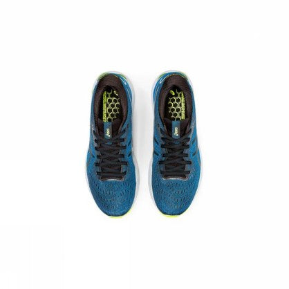 GEL-NIMBUS 24