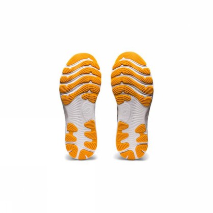 GEL-NIMBUS 24