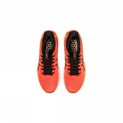 GEL-NIMBUS 24