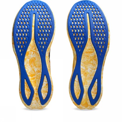 NOOSA TRI 16