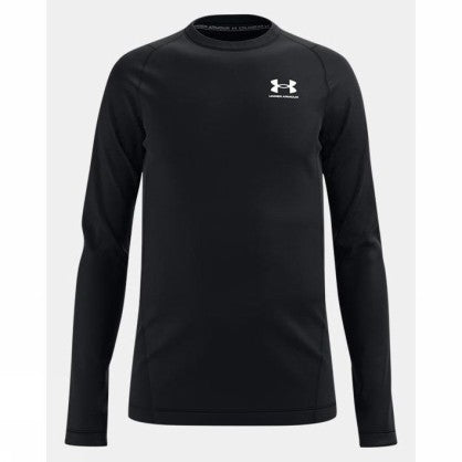 UA CG ARMOUR LS