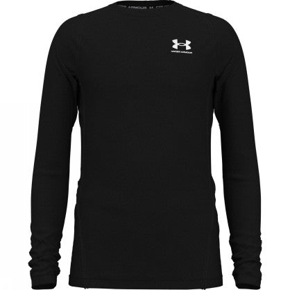 UA CG ARMOUR LS