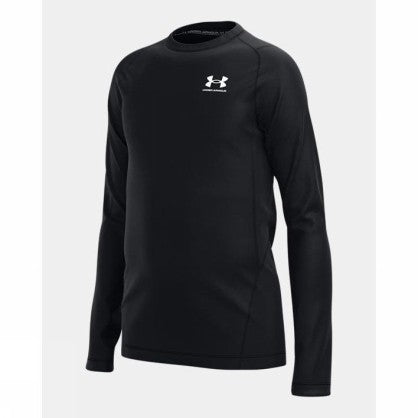 UA CG ARMOUR LS