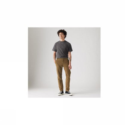 XX CHINO STD II