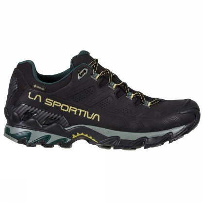Ultra Raptor II Leather Wide GTX