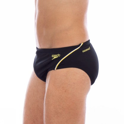 AQUAPULSE BRIEF