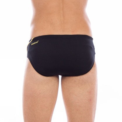 AQUAPULSE BRIEF