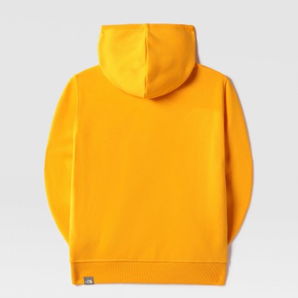 TEENS DREW PEAK P/O HOODIE