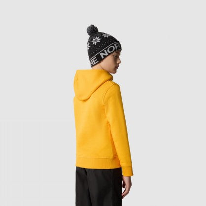 B DREW PEAK P/O HOODIE