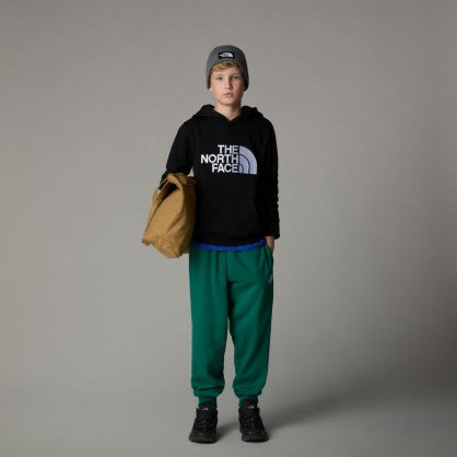 B DREW PEAK P/O HOODIE