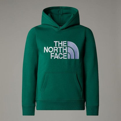 B DREW PEAK P/O HOODIE
