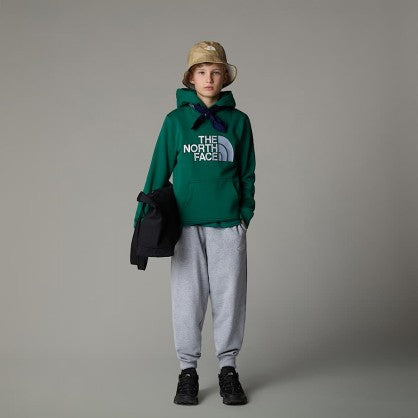 B DREW PEAK P/O HOODIE