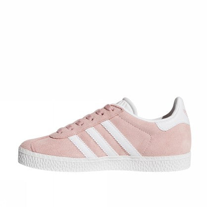 GAZELLE C