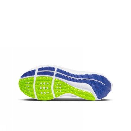 AIR ZOOM PEGASUS 39