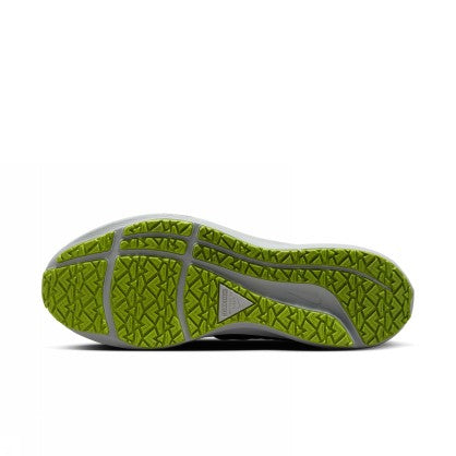 AIR ZOOM PEGASUS 39 SHIELD