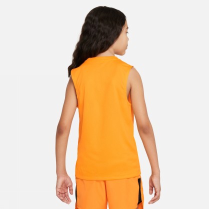 DRI-FIT MULTI+
