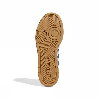 HOOPS 3.0 MID