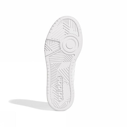 HOOPS 3.0