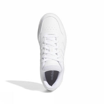 HOOPS 3.0