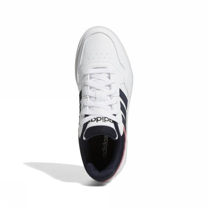 HOOPS 3.0