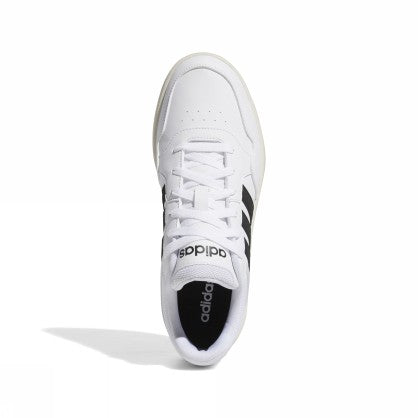 HOOPS 3.0