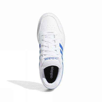 HOOPS 3.0