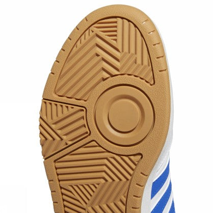 HOOPS 3.0