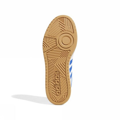 HOOPS 3.0