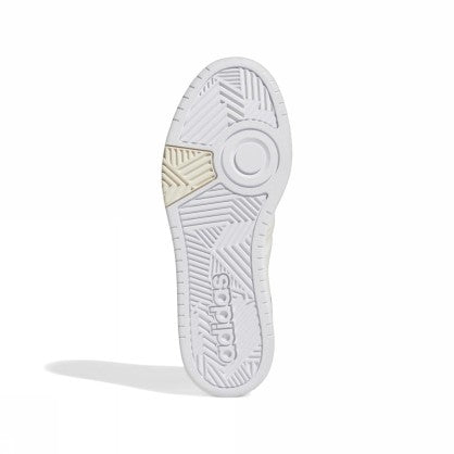 HOOPS 3.0