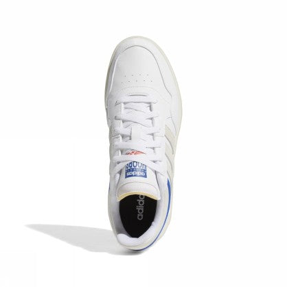 HOOPS 3.0