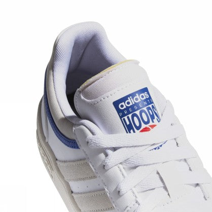 HOOPS 3.0