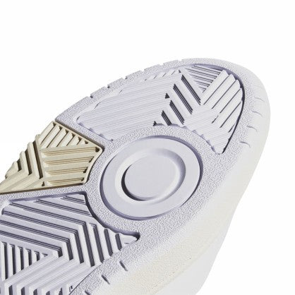 HOOPS 3.0