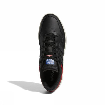 HOOPS 3.0