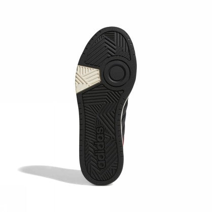 HOOPS 3.0