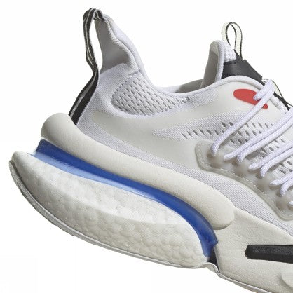 AlphaBoost V1