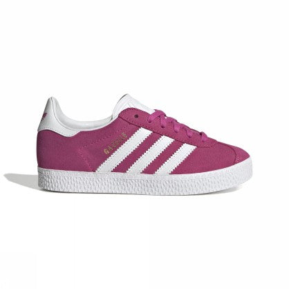 GAZELLE C