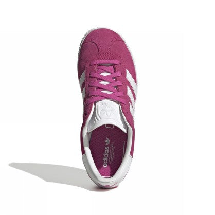 GAZELLE C