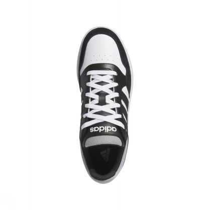 HOOPS 3.0
