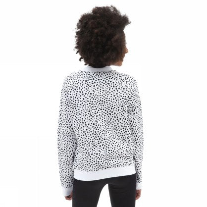 DALMATION CREW