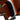 EBEN LEATHER BELT
