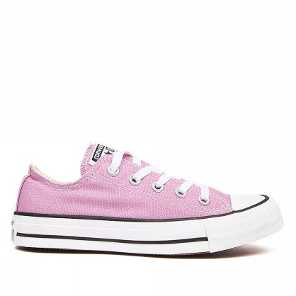 ALL STAR OX CANVAS SEASONAL