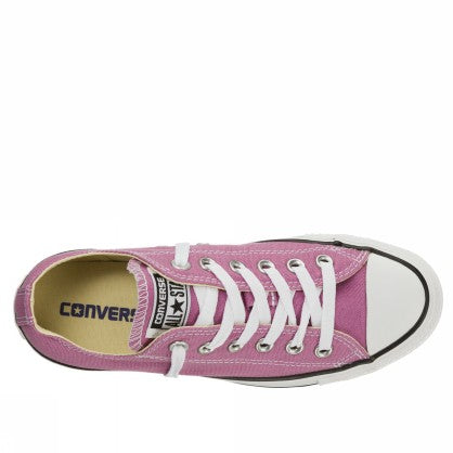 ALL STAR OX CANVAS SEASONAL