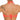 REGGISENO AMICA