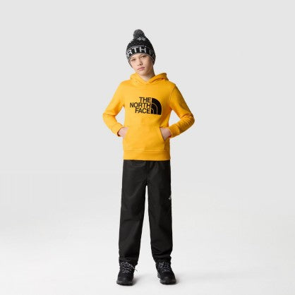 B DREW PEAK P/O HOODIE