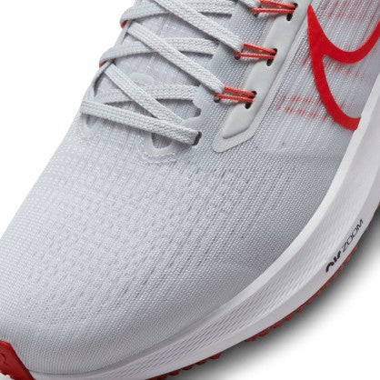 PEGASUS 39