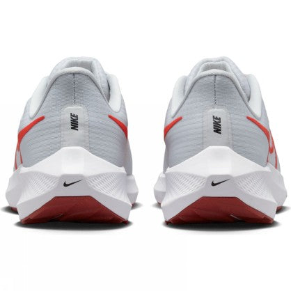 PEGASUS 39