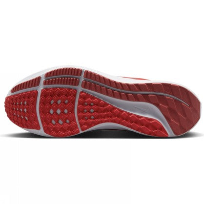 PEGASUS 39