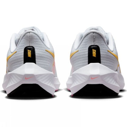 PEGASUS 39