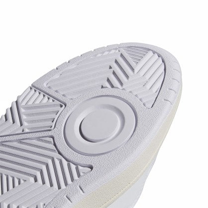 HOOPS 3.0