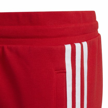 TREFOIL PANTS